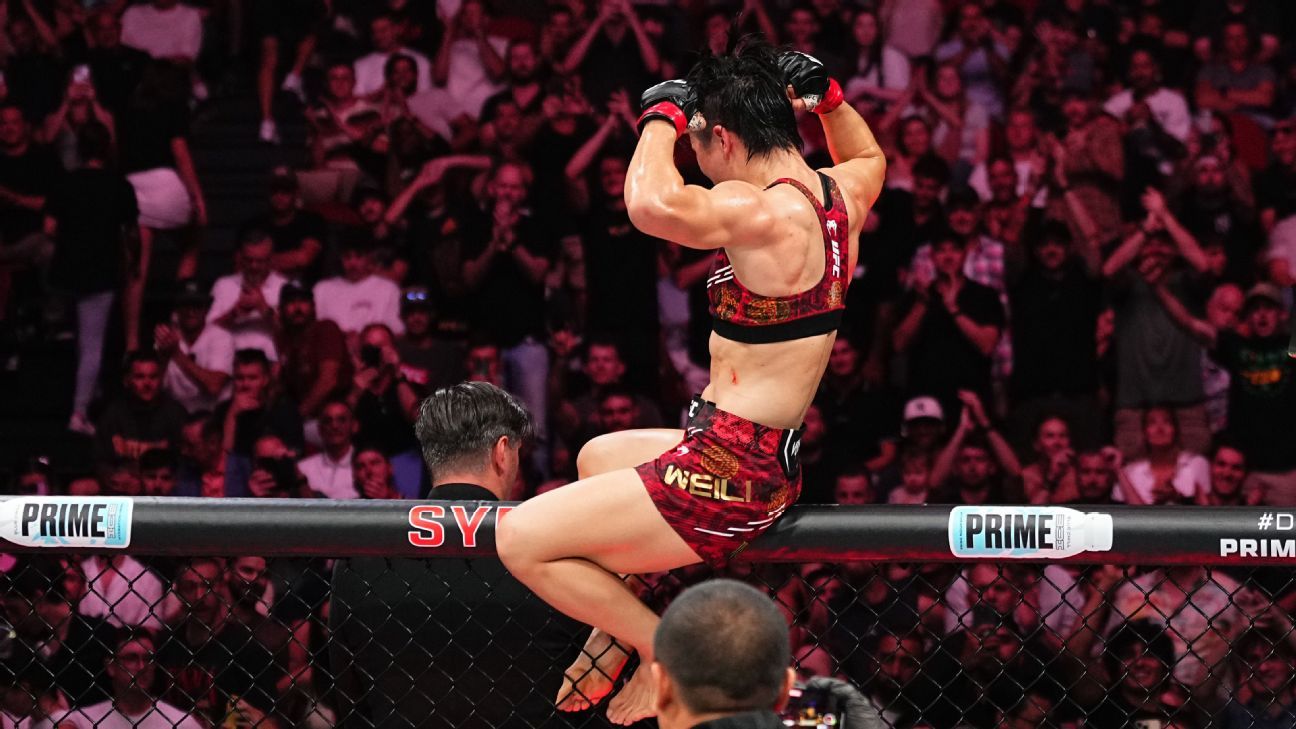 员在策略制 员在策略制